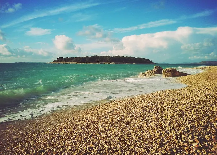 Gasthuis Plava Laguna 3*